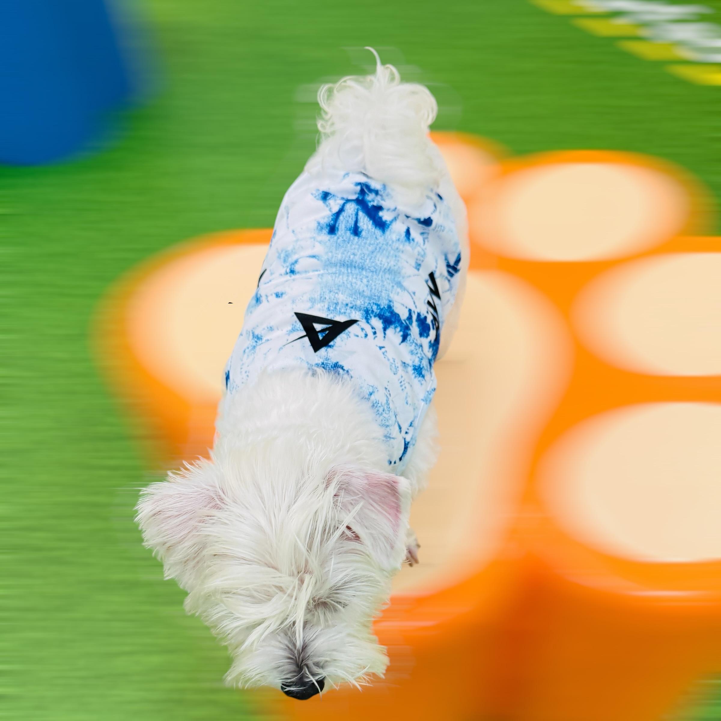 AKIV Dog Quick-Drying Vest | Aoki Wave
AKIV 狗狗快乾背心 | 青霧湧浪