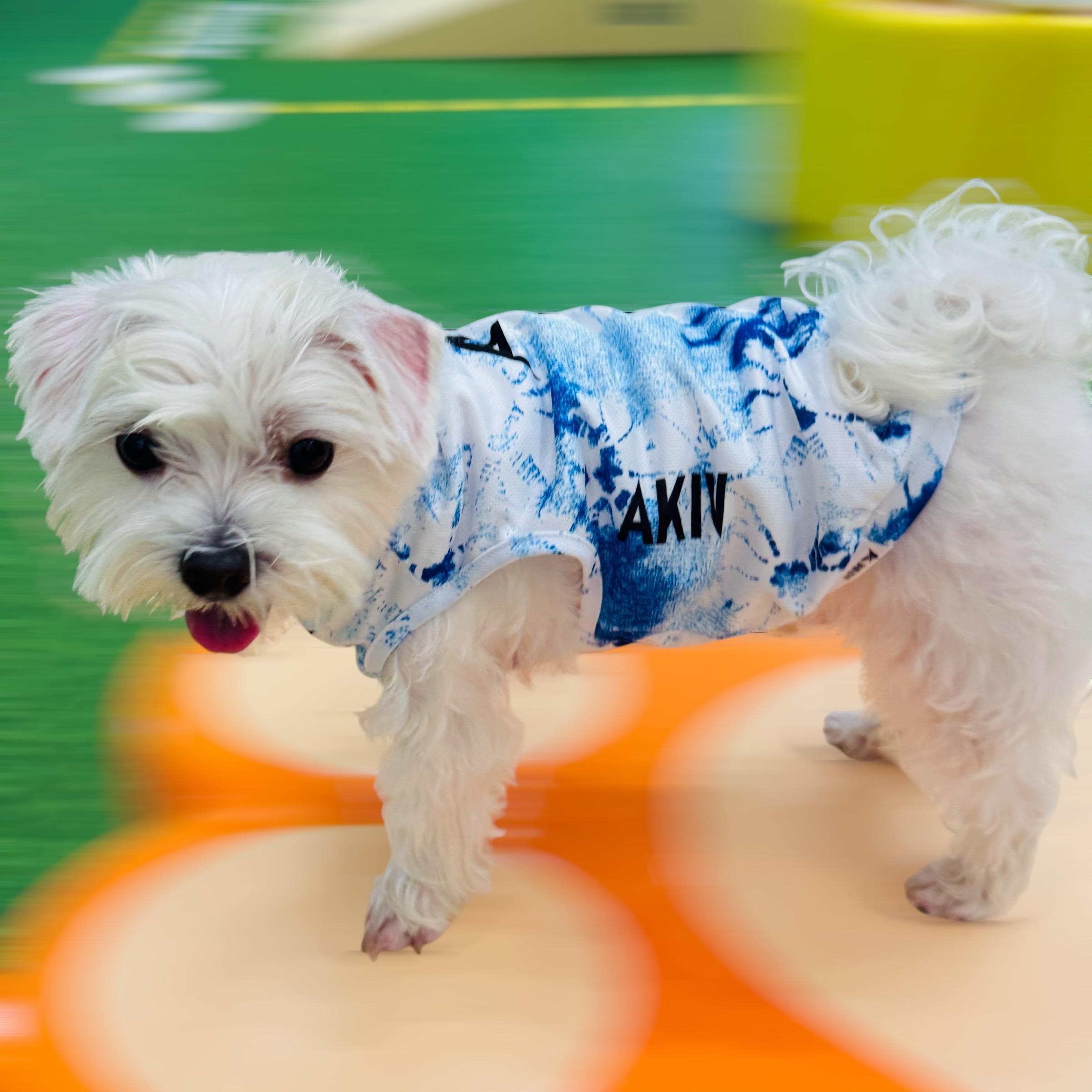 AKIV Dog Quick-Drying Vest | Aoki Wave
AKIV 狗狗快乾背心 | 青霧湧浪