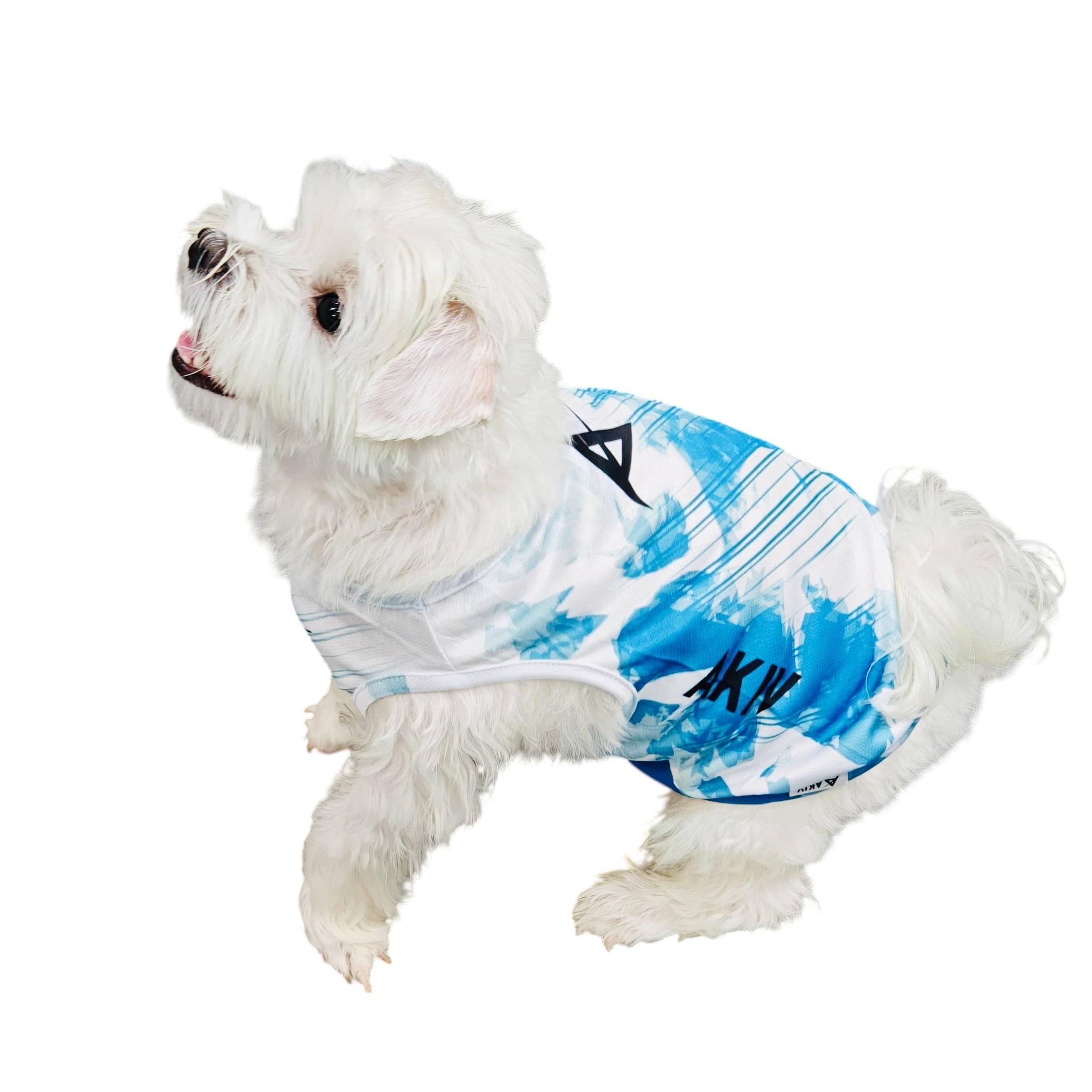 AKIV Dog Quick-Drying Vest | Lake Emerald Shadow
AKIV 狗狗快乾背心 | 翡翠湖畔影