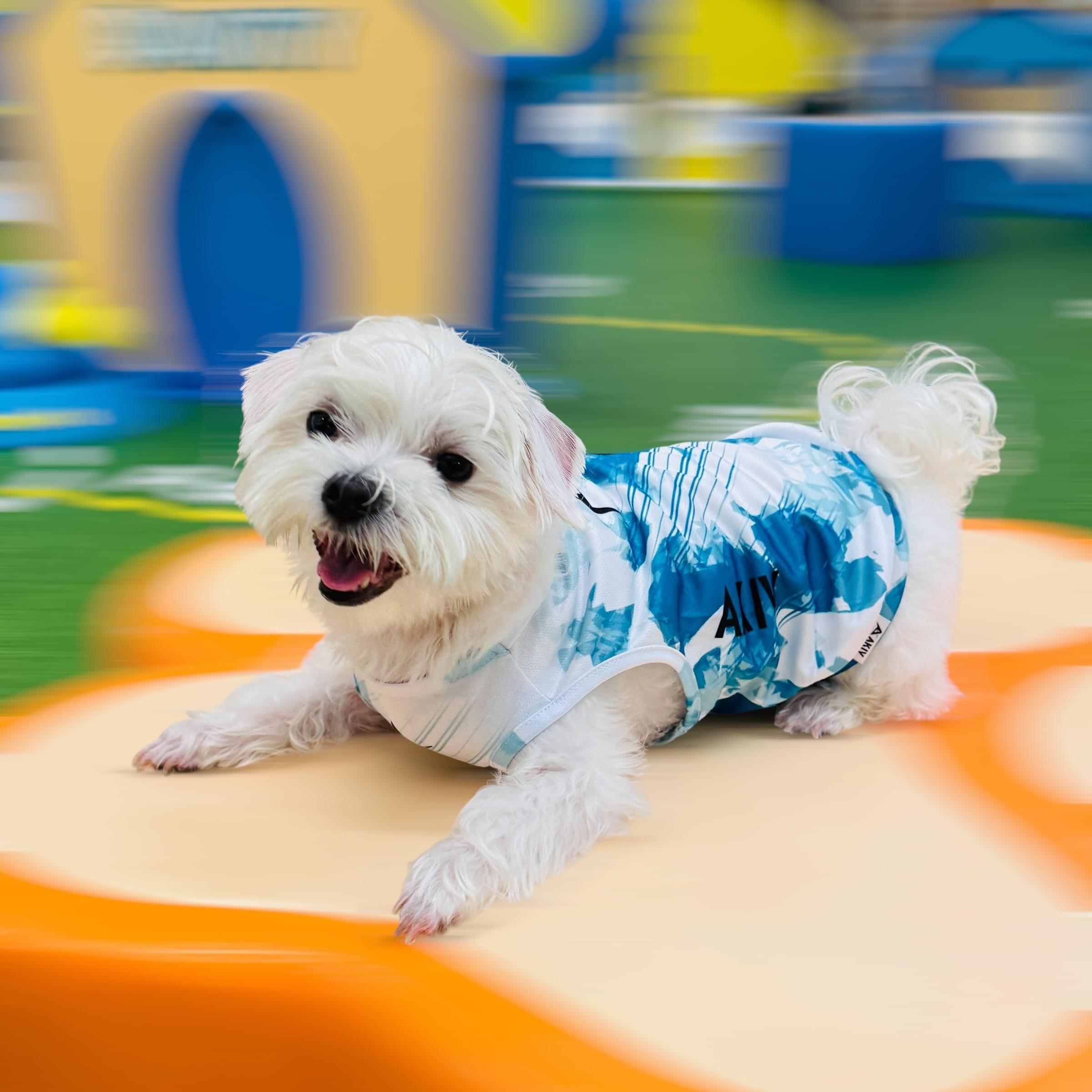 AKIV Dog Quick-Drying Vest | Lake Emerald Shadow
AKIV 狗狗快乾背心 | 翡翠湖畔影