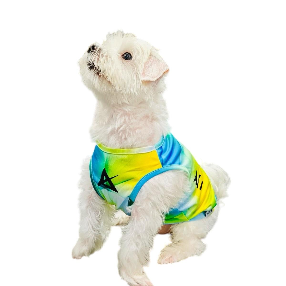 AKIV Dog Quick-Drying Vest | Luminous Ridge
AKIV 狗狗快乾背心 | 幻光山脊