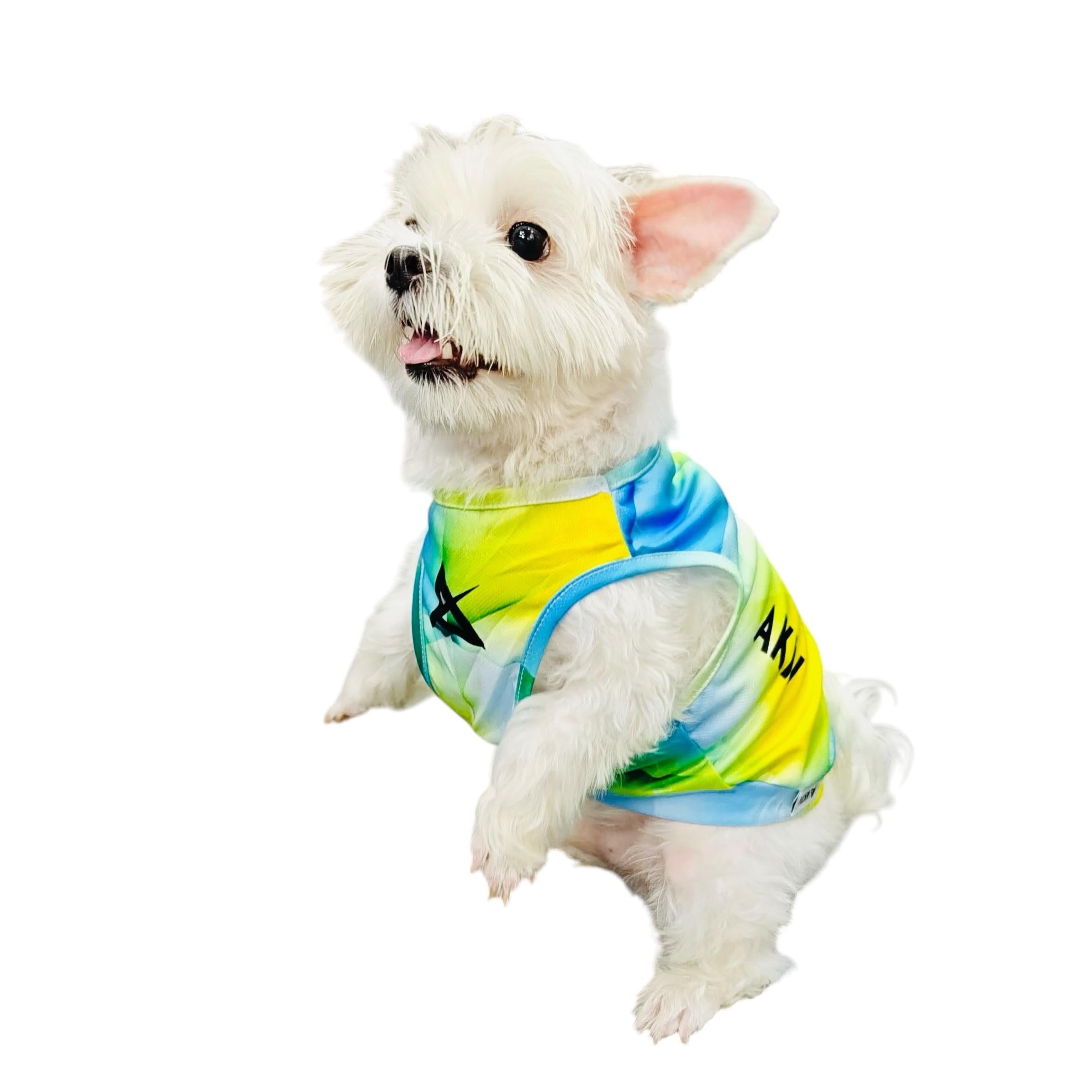 AKIV Dog Quick-Drying Vest | Luminous Ridge
AKIV 狗狗快乾背心 | 幻光山脊
