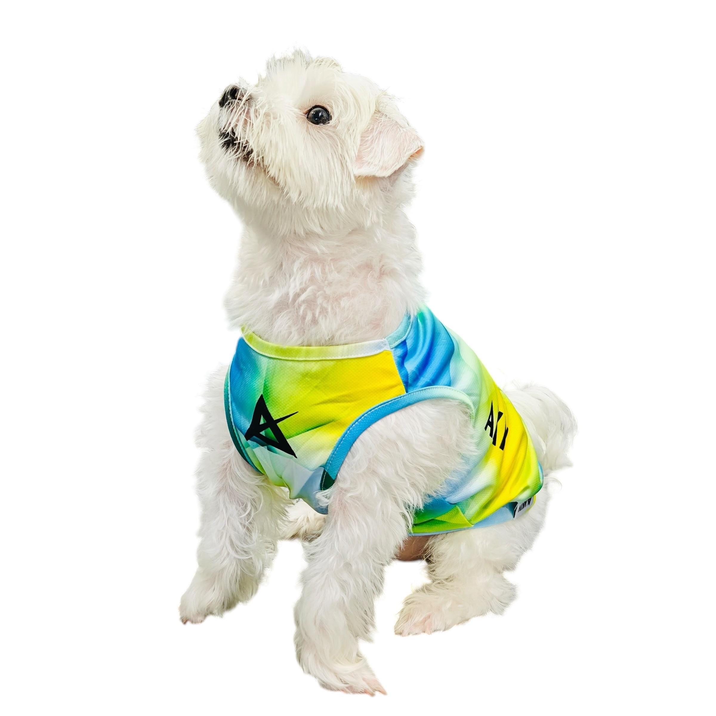 AKIV Dog Quick-Drying Vest | Luminous Ridge
AKIV 狗狗快乾背心 | 幻光山脊
