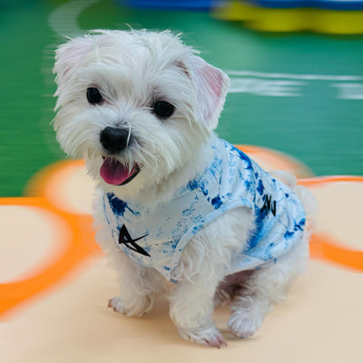 AKIV Dog Quick-Drying Vest | Aoki Wave
AKIV 狗狗快乾背心 | 青霧湧浪