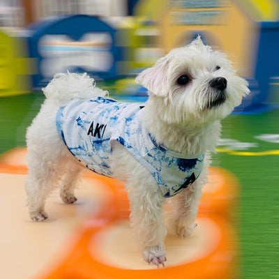 AKIV Dog Quick-Drying Vest | Aoki Wave
AKIV 狗狗快乾背心 | 青霧湧浪