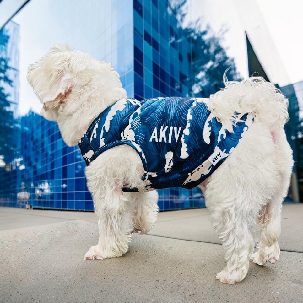 AKIV Dog Quick-Drying Vest | Dolphin Wave Realm
AKIV 狗狗快乾背心 | 白海豚浪境