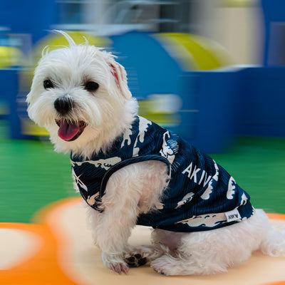 AKIV Dog Quick-Drying Vest | Dolphin Wave Realm
AKIV 狗狗快乾背心 | 白海豚浪境