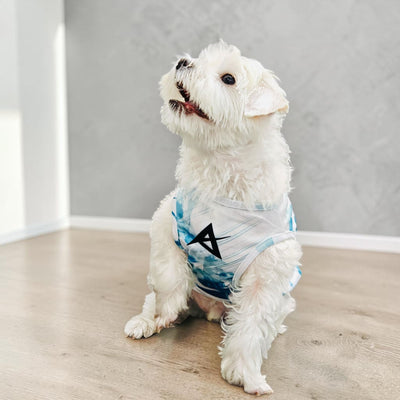 AKIV Dog Quick-Drying Vest | Lake Emerald Shadow
AKIV 狗狗快乾背心 | 翡翠湖畔影