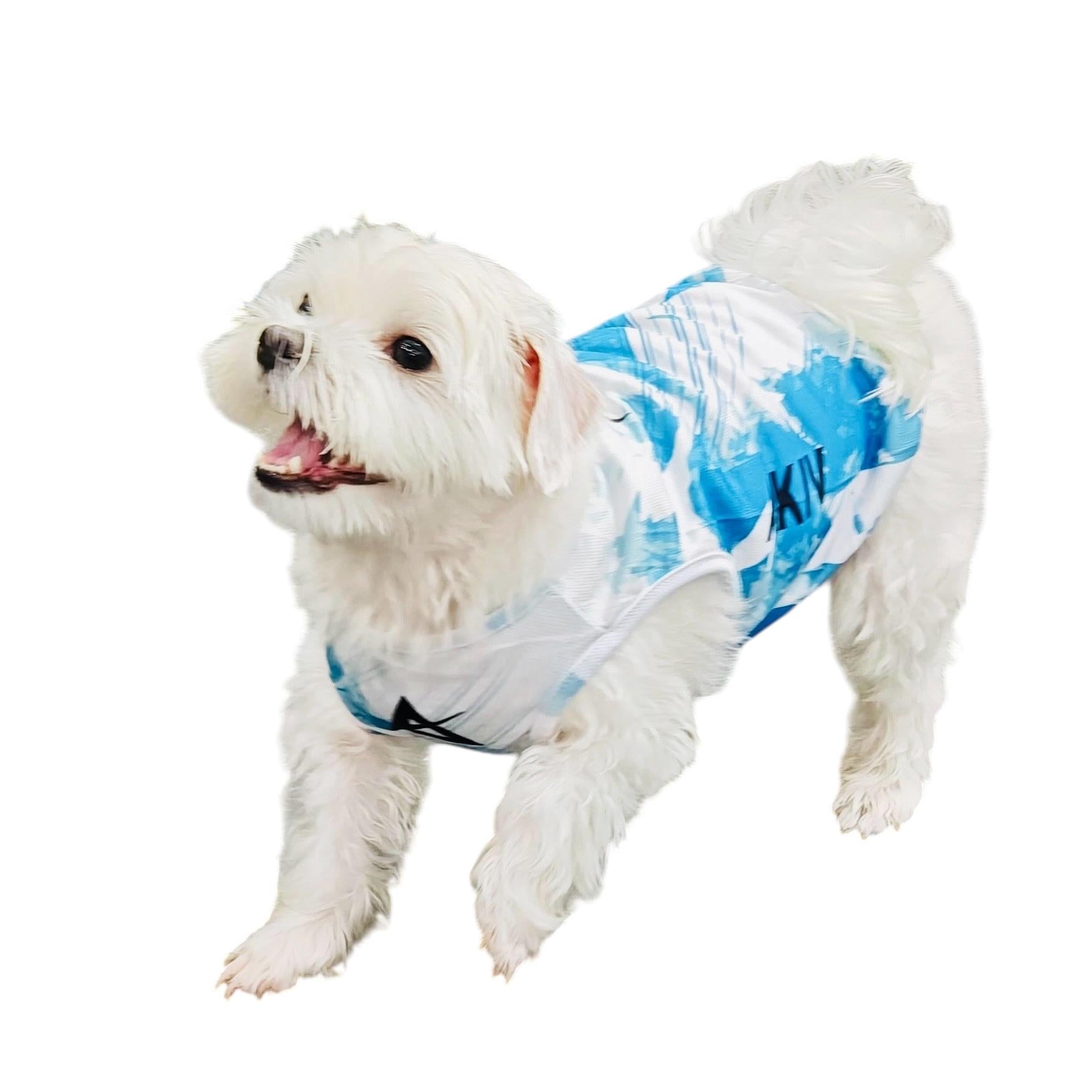 AKIV Dog Quick-Drying Vest | Lake Emerald Shadow
AKIV 狗狗快乾背心 | 翡翠湖畔影