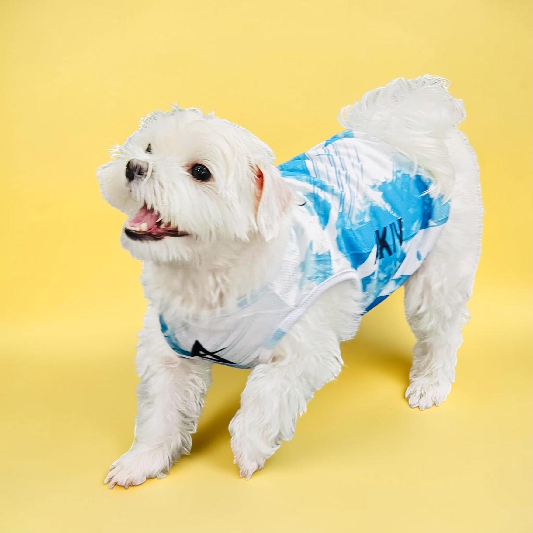 AKIV Dog Quick-Drying Vest | Lake Emerald Shadow
AKIV 狗狗快乾背心 | 翡翠湖畔影