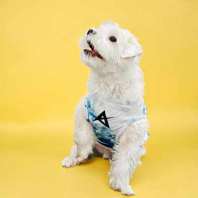 AKIV Dog Quick-Drying Vest | Lake Emerald Shadow
AKIV 狗狗快乾背心 | 翡翠湖畔影