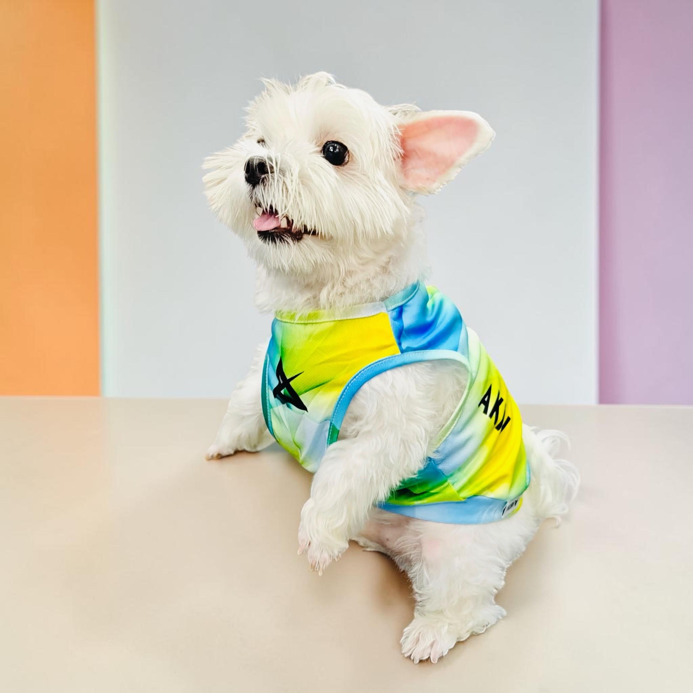 AKIV Dog Quick-Drying Vest | Luminous Ridge
AKIV 狗狗快乾背心 | 幻光山脊