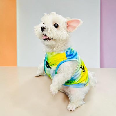 AKIV Dog Quick-Drying Vest | Luminous Ridge
AKIV 狗狗快乾背心 | 幻光山脊