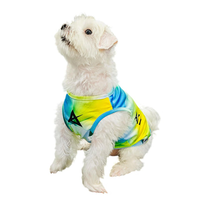 AKIV Dog Quick-Drying Vest | Luminous Ridge
AKIV 狗狗快乾背心 | 幻光山脊