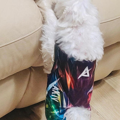 Dog Quick-Drying Vest
狗狗快乾背心